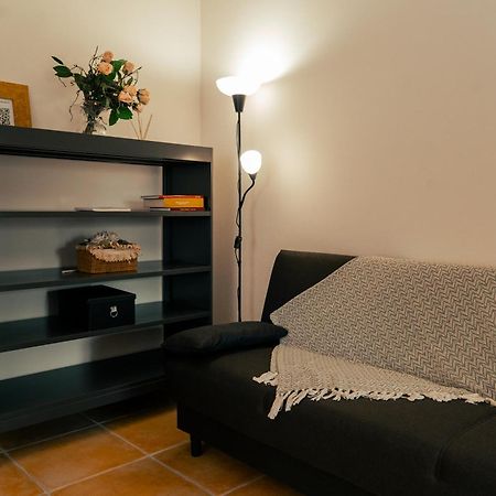 La Terrazza Sul Reno - In Pieno Centro-Due Passi Da Villa Chiara - Comodo Unipol Arena 카살레키노 디 레노 외부 사진